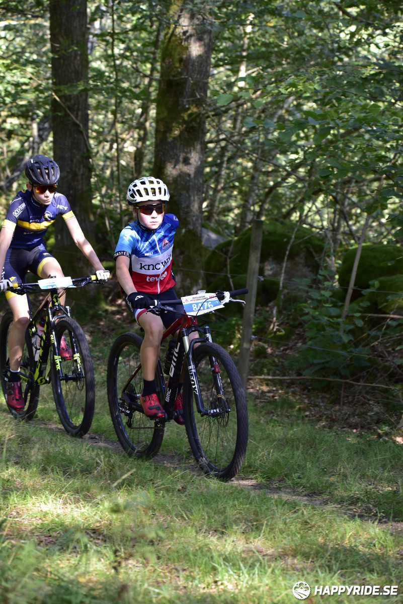 Bild från Bockstensturen 2019